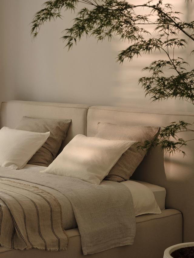 Lupine bed